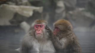 Thumbnail of post image 042