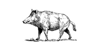 Thumbnail of post image 096