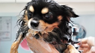 Thumbnail of post image 200