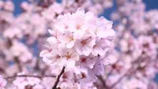 Thumbnail of post image 006