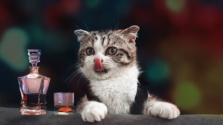 Thumbnail of post image 144