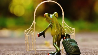 Thumbnail of post image 132