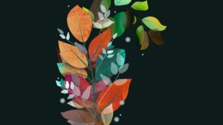 Thumbnail of post image 046