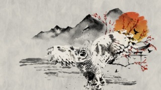 Thumbnail of post image 077