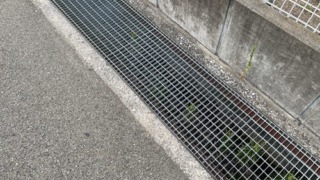 Thumbnail of post image 110