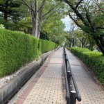 Thumbnail of post image 071