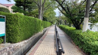 Thumbnail of post image 111